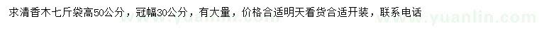 求購高50公分清香木