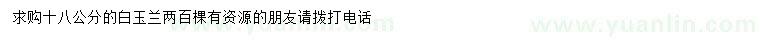 求購18公分白玉蘭