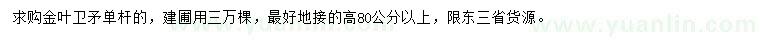 求購高80公分以上金葉衛(wèi)矛