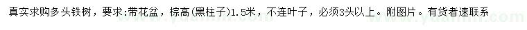 求購高1.5米多頭鐵樹