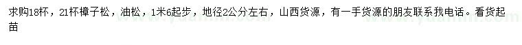 求購地徑2公分左右樟子松、油松