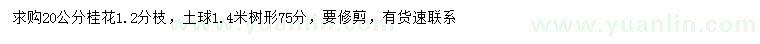 求購20公分桂花