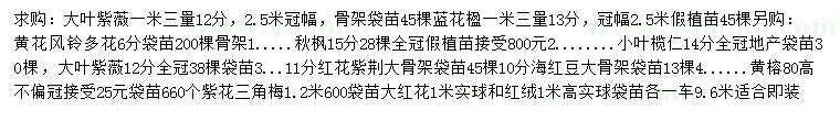 求購大葉紫薇、藍(lán)花楹、黃花風(fēng)鈴多花等