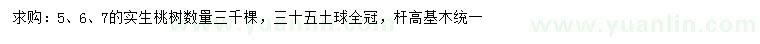 求購5、6、7實(shí)生桃樹