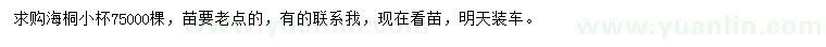 求購(gòu)海桐小杯