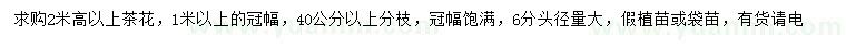 求購高2米以上茶花