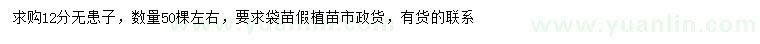 求購12公分無患子