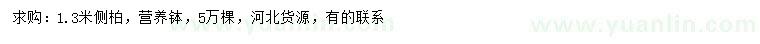 求購1.3米側(cè)柏