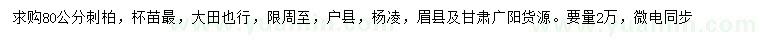 求購80公分刺柏