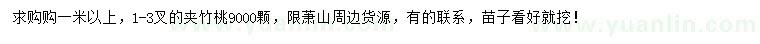 求購(gòu)1米以上夾竹桃