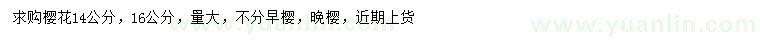 求購14、16公分櫻花