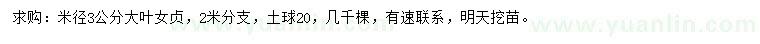 求購米徑3公分大葉女貞
