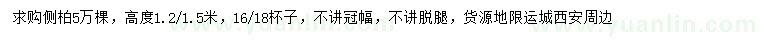 求購高1.2-1.5米側(cè)柏