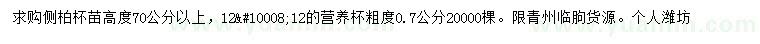 求購高70公分以上側(cè)柏