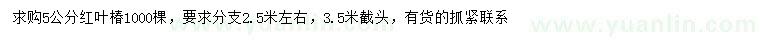 求購(gòu)5公分紅葉椿