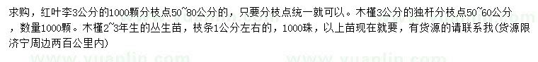 求購紅葉李、木槿、叢生木槿