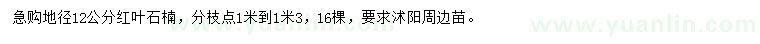求購地徑12公分紅葉石楠