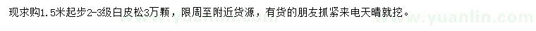 求購(gòu)1.5米起步白皮松