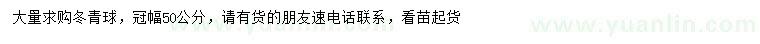 求購冠幅50公分冬青球