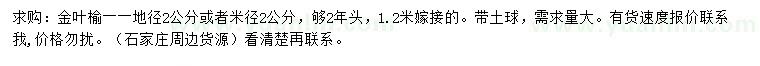 求購地徑2公分金葉榆