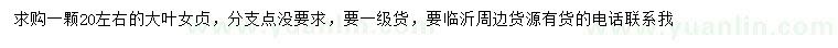 求購20公分左右大葉女貞