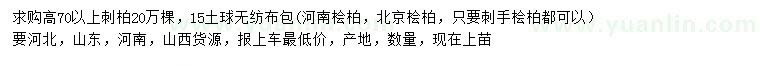 求購高70公分以上刺柏