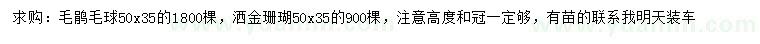 求購50*35公分毛鵑毛球、灑金珊瑚