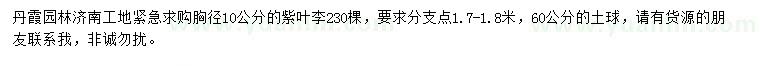 求購(gòu)胸徑10公分紫葉李
