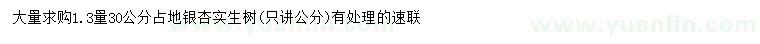 求購1.3米量30公分占地銀杏