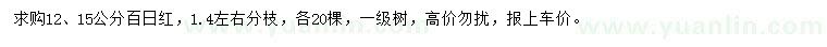 求購12、15公分百日紅
