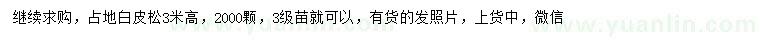 求購高3米白皮松