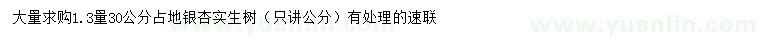 求購1.3量30公分占地銀杏