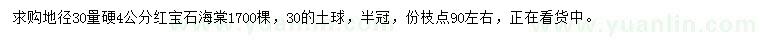 求購(gòu)地徑30量硬4公分紅寶石海棠