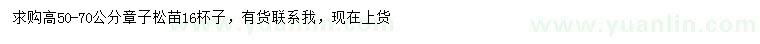 求購高50-70公分章子松