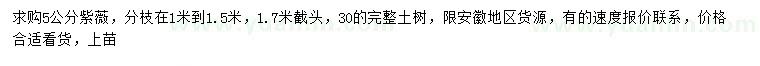 求購5公分紫薇