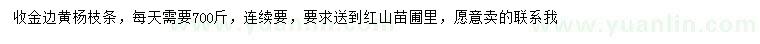 求購金邊黃楊枝條