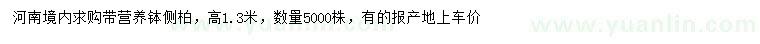 求購高1.3米側(cè)柏