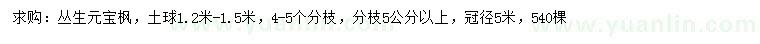 求購冠徑5米叢生元寶楓