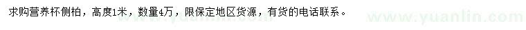 求購高1米側柏