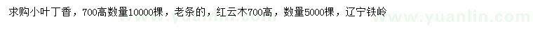 求購(gòu)高700公分小葉丁香、紅云木