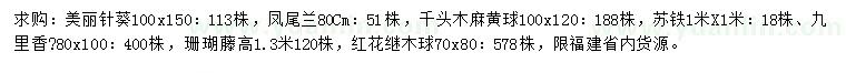 求購美麗針葵、鳳尾蘭、千頭木麻黃球等