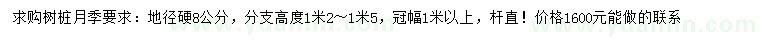 求購地徑硬8公分樹樁月季