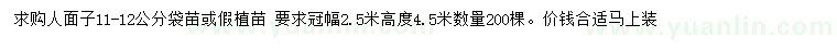 求購11-12公分人面子