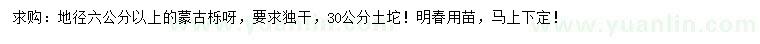 求購地徑6公分以上蒙古櫟