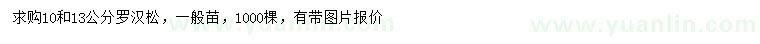 求購(gòu)10、13公分羅漢松