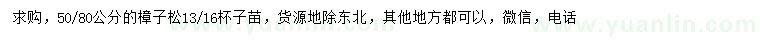 求購50、80公分樟子松
