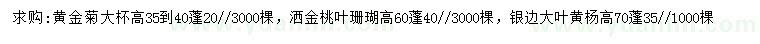 求購黃金菊、灑金桃葉珊瑚、大葉黃楊