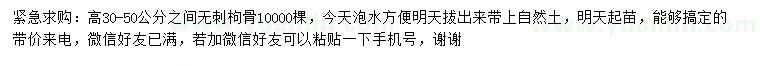 求購高30-50公分之間無刺枸骨
