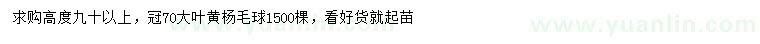 求購高90公分以上葉黃楊毛球