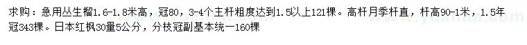 求購(gòu)叢生榴、高桿月季、日本紅楓
